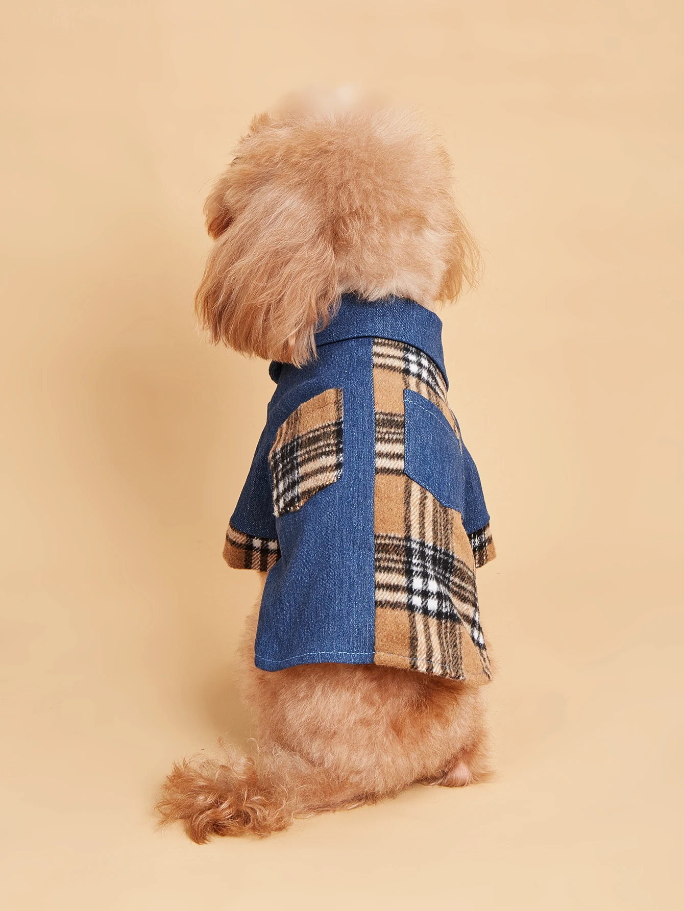 #7 Compare Pet Apparels Before You Buy
