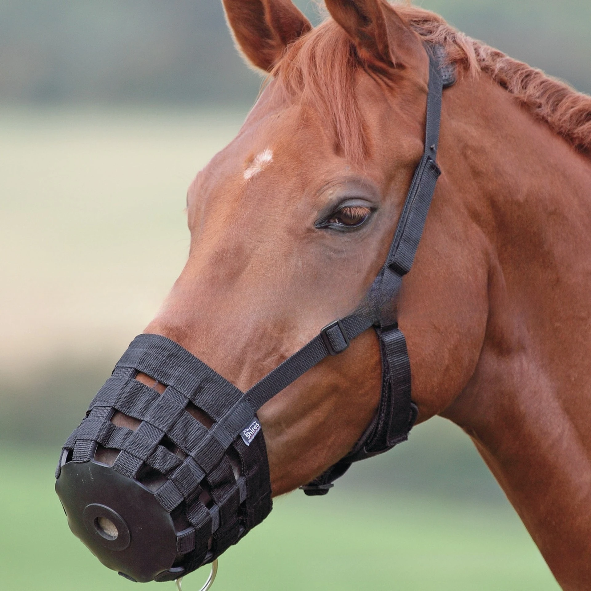 Wear-resistant and environmentally friendly, no odor, webbing mask, Malone head, horse mouth cover, harness, equestrian supplies