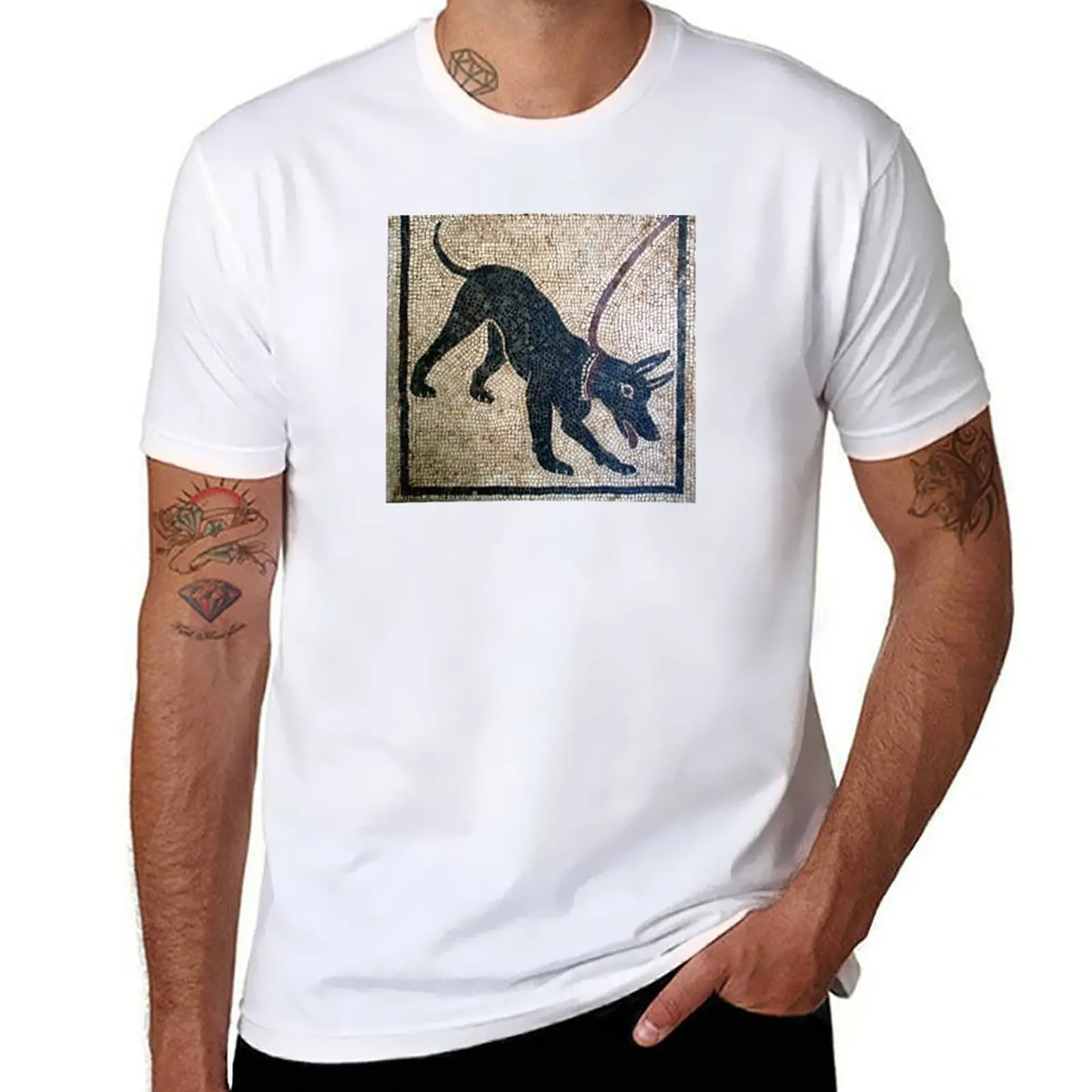 Cave canem- kaos Pompeii kuno untuk pria kaos lucu kaos katun