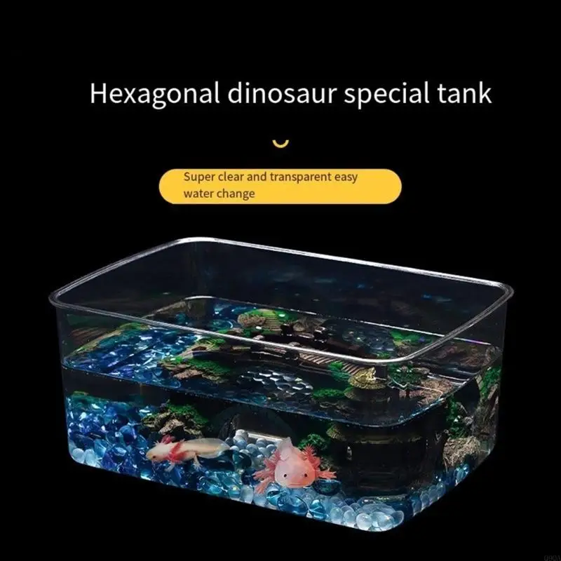 Q9QA Fischaquarium für Axolotl-Salamander-Amphibien-Aquarium-Enthusiasten