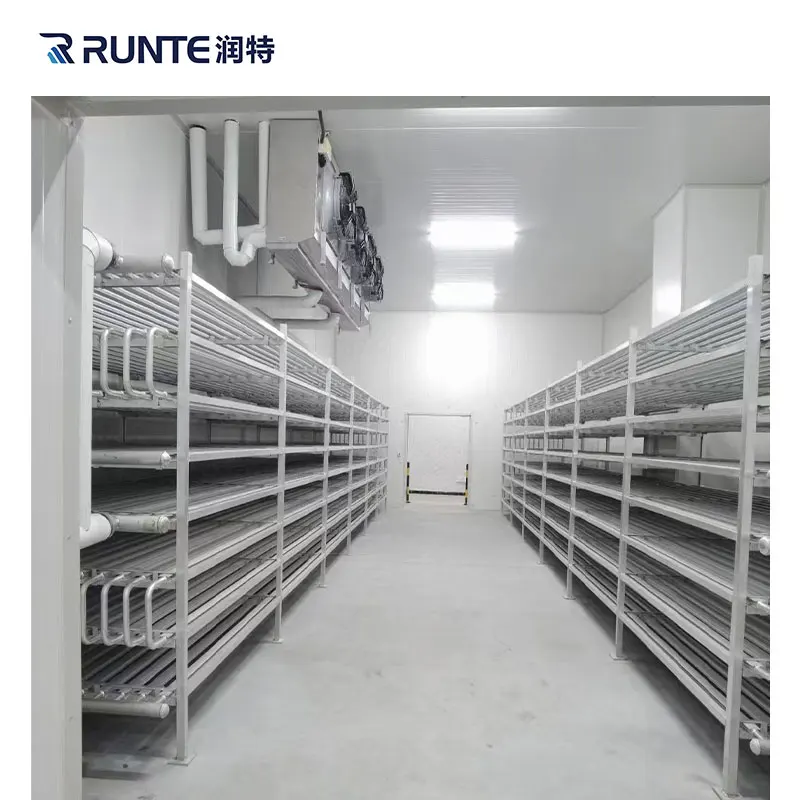 Sala frigorifera per frutta e verdura