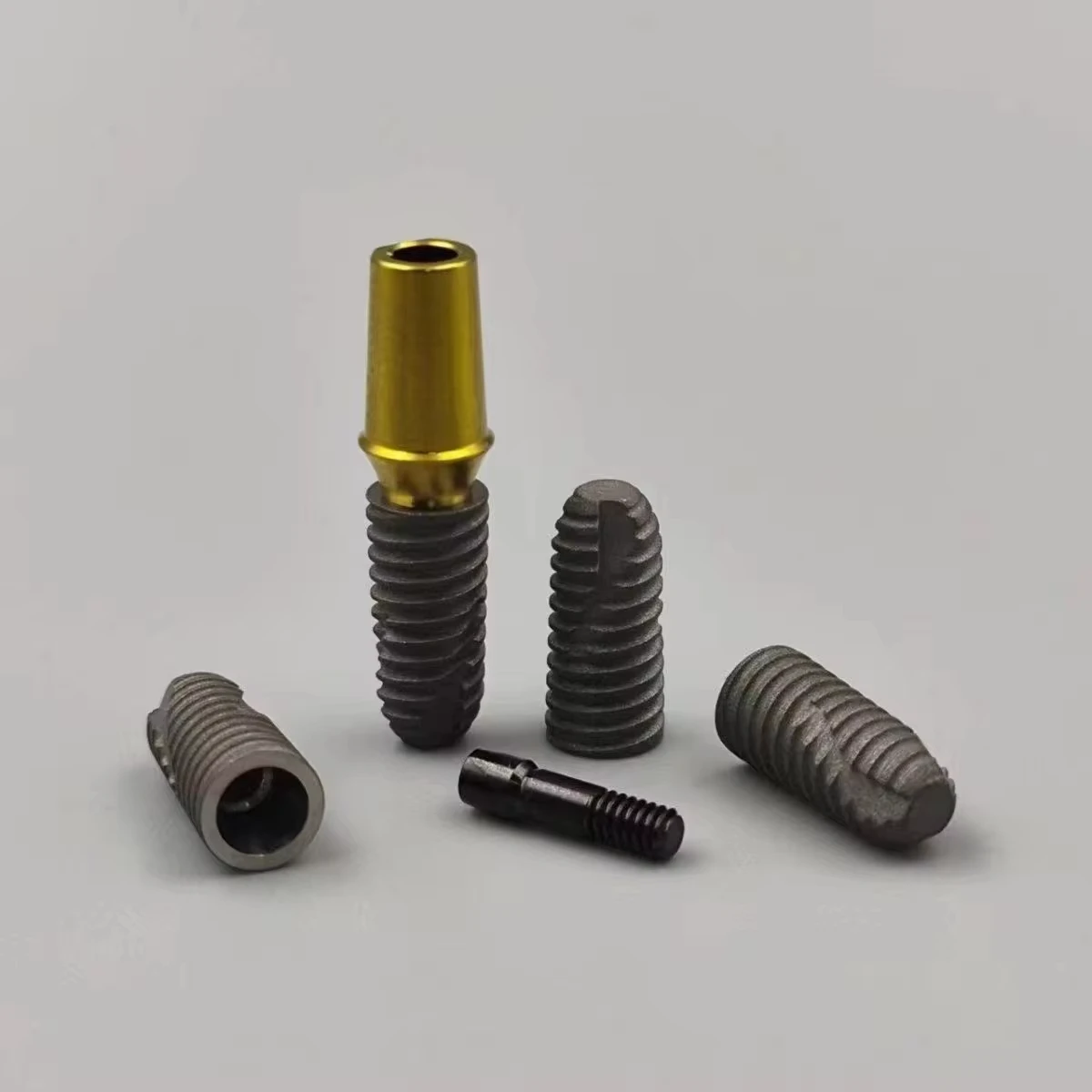 Dental model implant fixture practice model Implant training for Osstem 4510