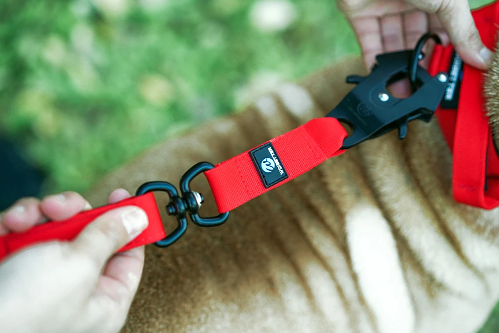 Quick Release Militär Verkehr Große Heavy Duty Nylon Gehen Starke Hund Griff Taktische Ausbildung Blei Strap Tsug Halsband Se – Detail 22