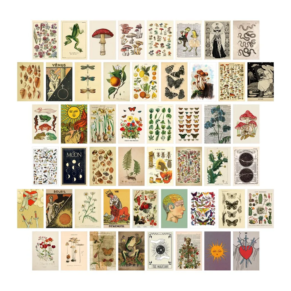 50Pcs Vintage Botanical Tarot Aesthetic Wall Collage Kit Flora & Fauna Insects Illustration Art Posters Card Room Decor