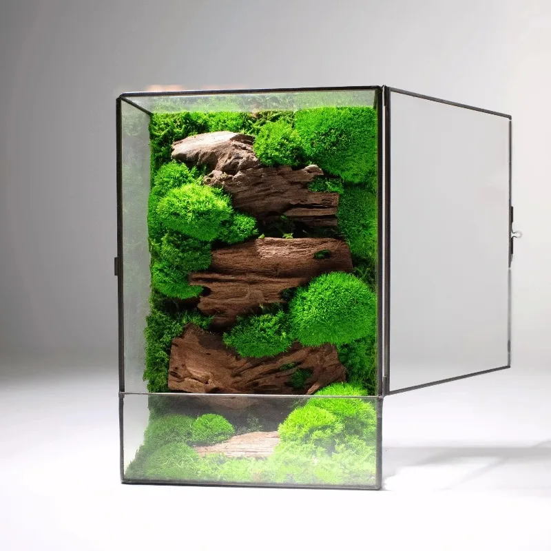 

Aquarium Glass Container Decoration Plant Glass Container Naturally Preserved Moss Container for Tabletop Home Decoration