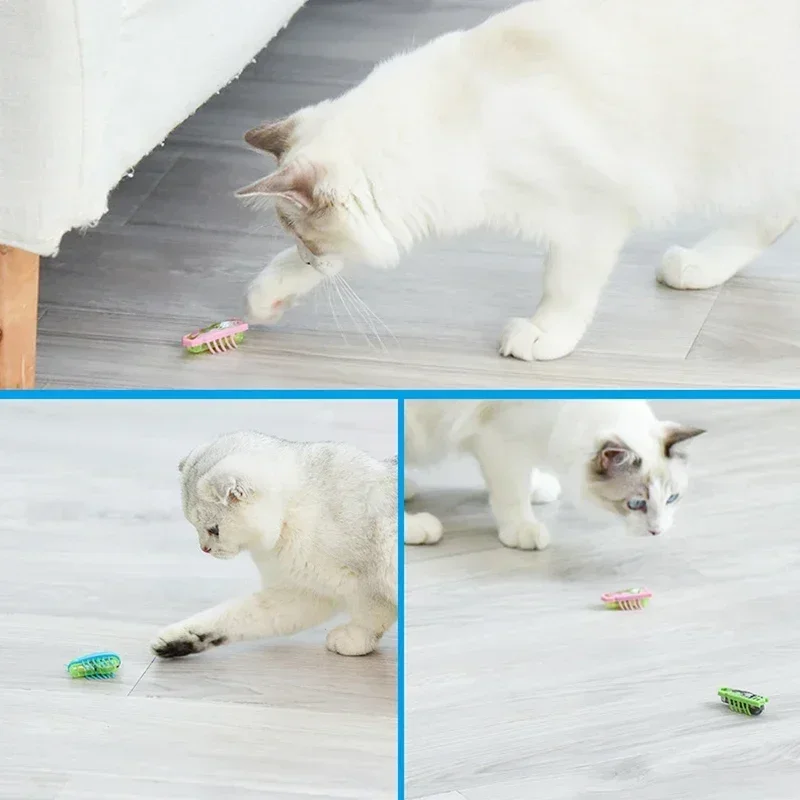 Automatic Flip Over Rolling Cat Toy Electric Vibrating Moving Beetle for Indoor Kitten Exercise Chase Training Fun Games - AliExpress 15 Automatic Flip Over Rolling Cat Toy Electric Vibrating Moving Beetle for Indoor Kitten Exercise Chase Training Fun Games - AliExpress 15
