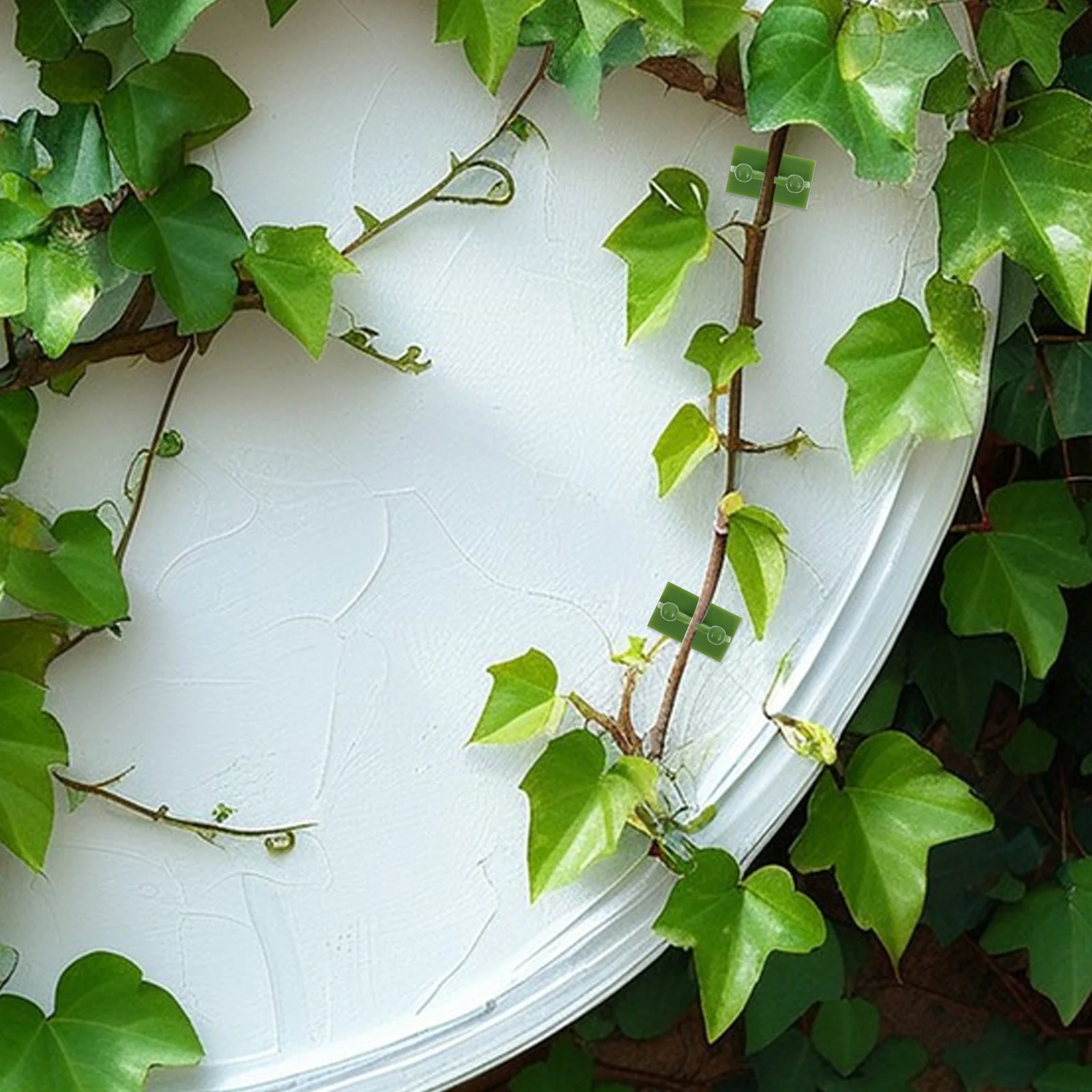 

120 Pcs Green Plant Wall Clamping Sticky Clip Fixing Clips for Plants Orchid Vegetables Plastic Adjustable