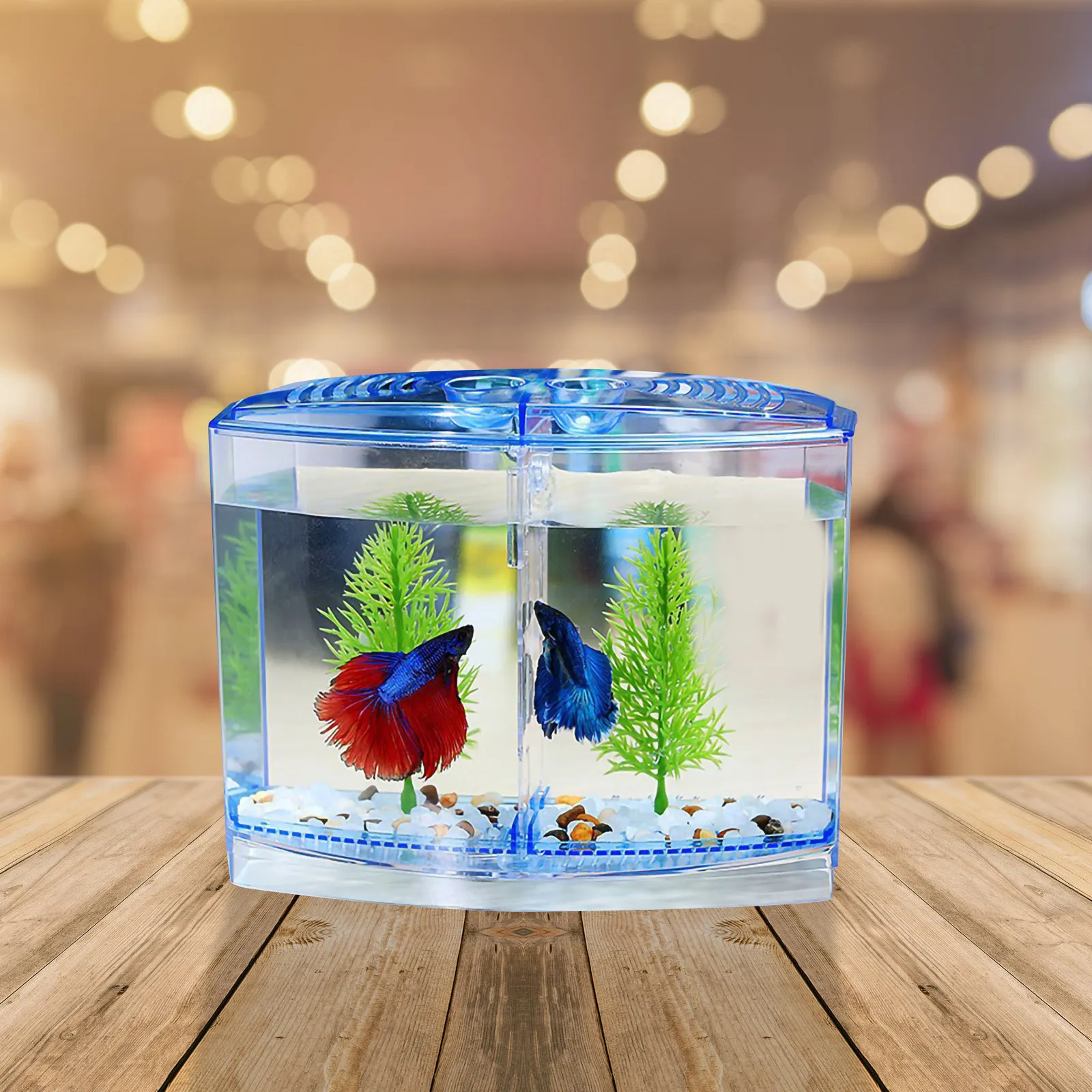 1Set Elegant Transparent Acryl - Planted Aquarium For Goldfish 评论和价格