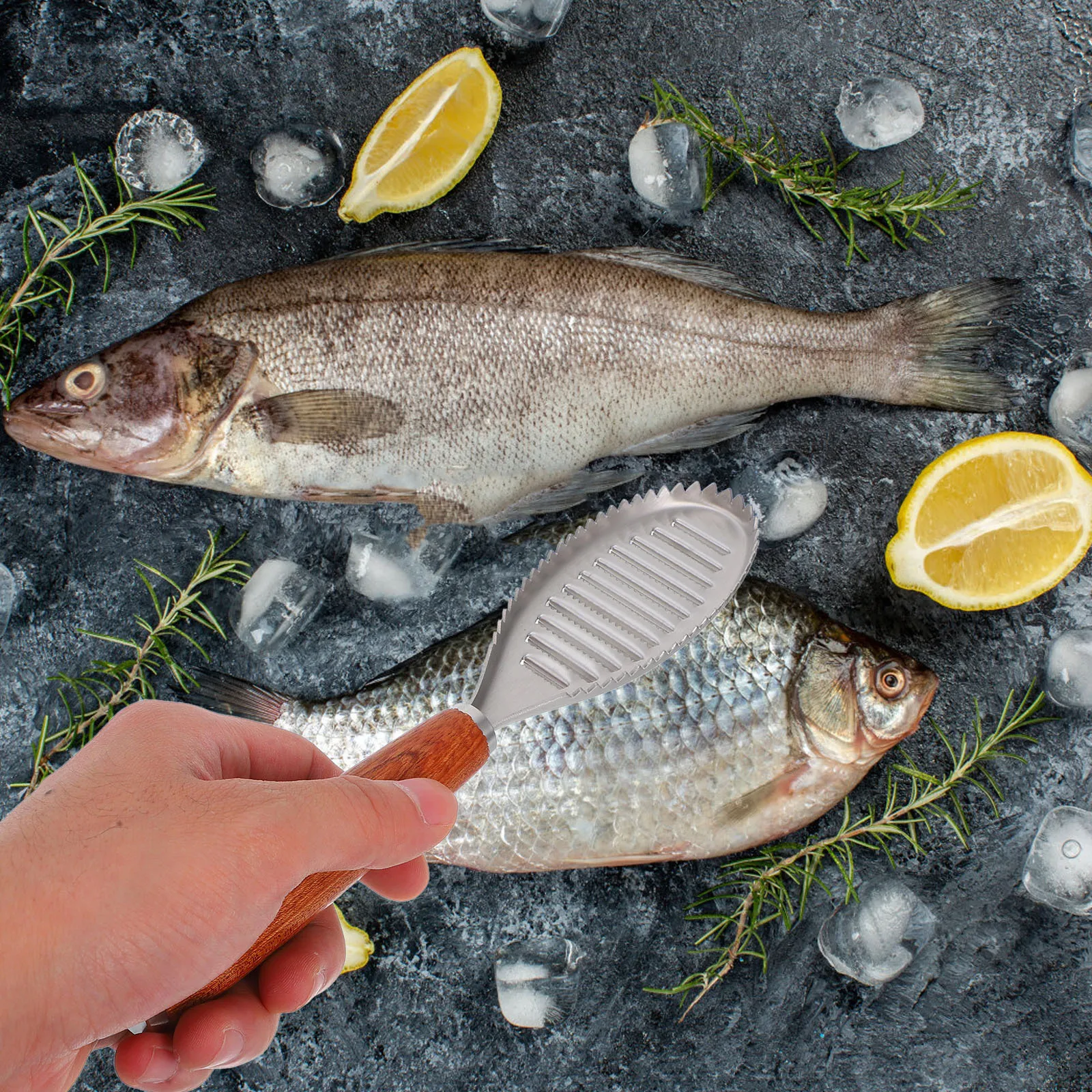 

Скребок из нержавеющей стали, ручной инструмент для удаления весов, кухонный гаджет, домашний очиститель кожи, быстрый, эффективный, безопасное использование, рыбья чешуя