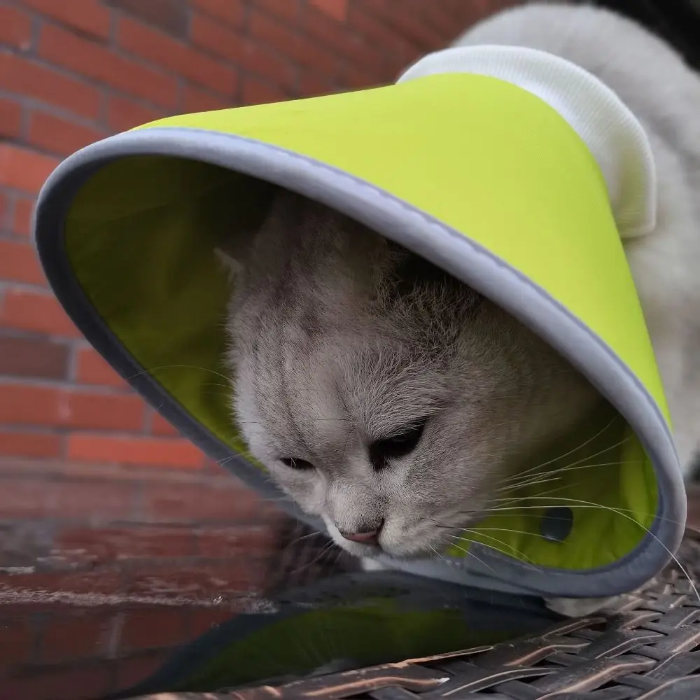 Adjustable Cat Cone Collar Lightweight Anti-bite Elizabethan Collars Breathable Easy To Eat and Drink Pet Protective Cover