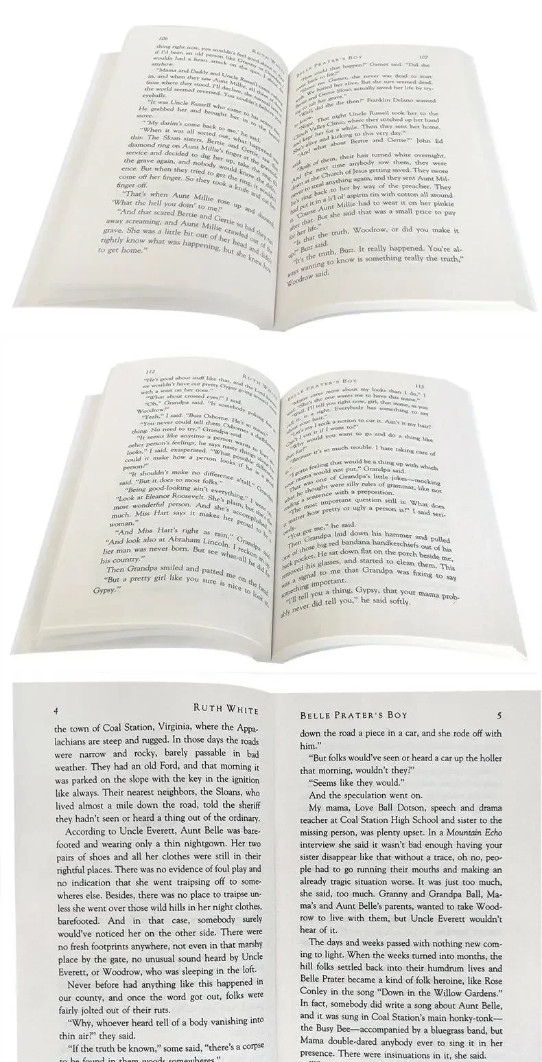 Belle Prater’s Boy, Children's books aged 10 11 12 13 14 English books, Bildungsroman novels 9781250005601