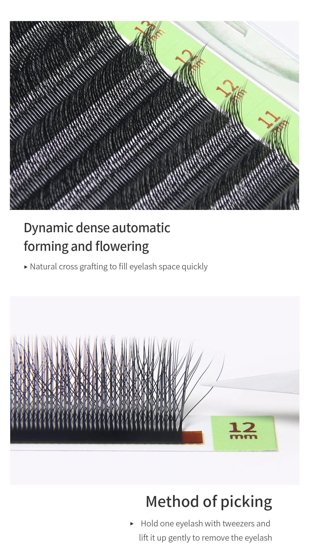 GLAMLASH 3D4D5D6D7D8D W Wimpern C/D/L/LU/M Vorgefertigte Volumenfächer Braune Wimpernverlängerungen Natürlich weich – Detail 14