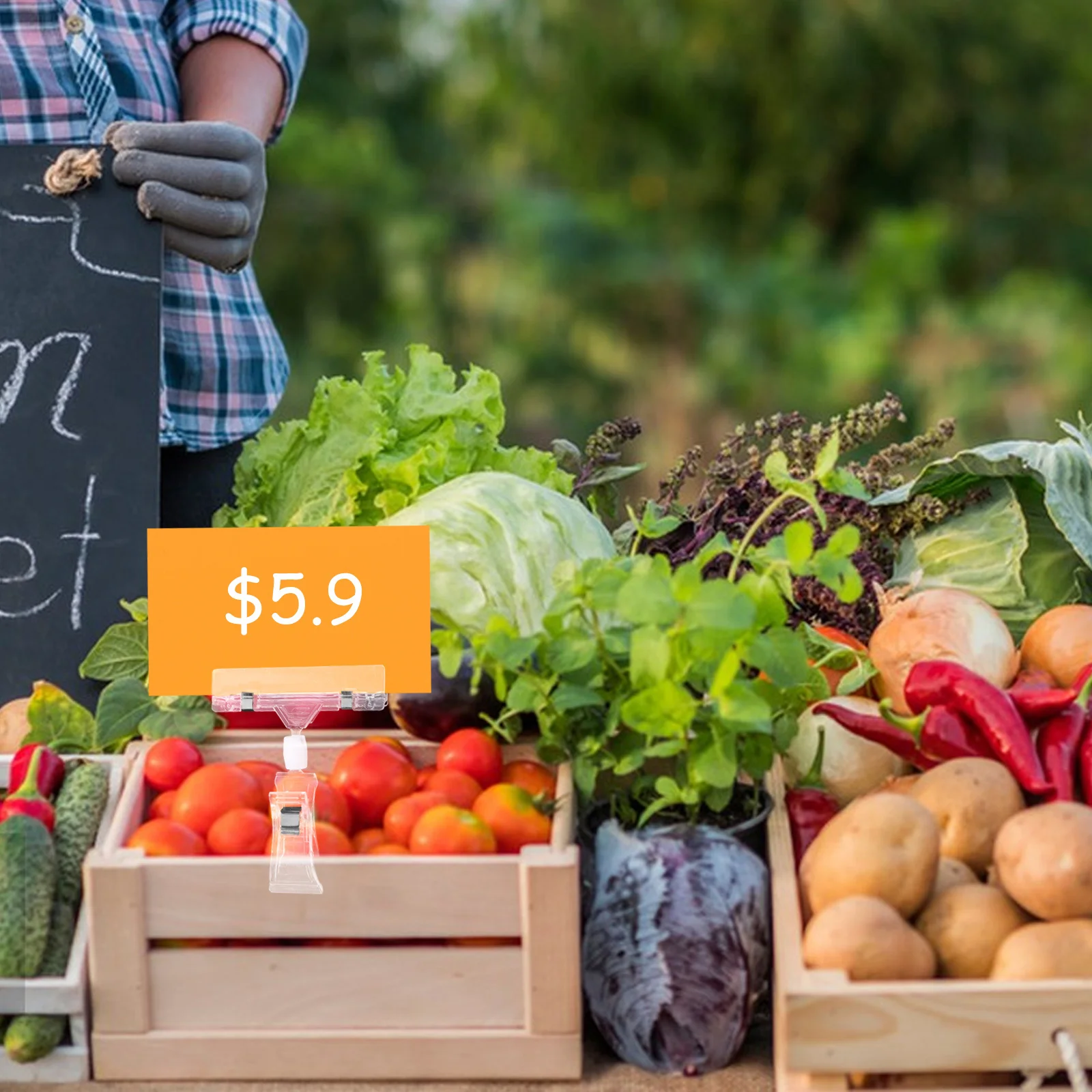 

10Pcs Transparent Plastic Dual End Clip Note Holder Label Price Tag Clamp for Market Shopping Mall Home Use Note Holder