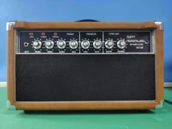 Custom DW Wonderful Red Tolex Black Grill Cloth 20 / 50 / 100 Watt Amplifier Head