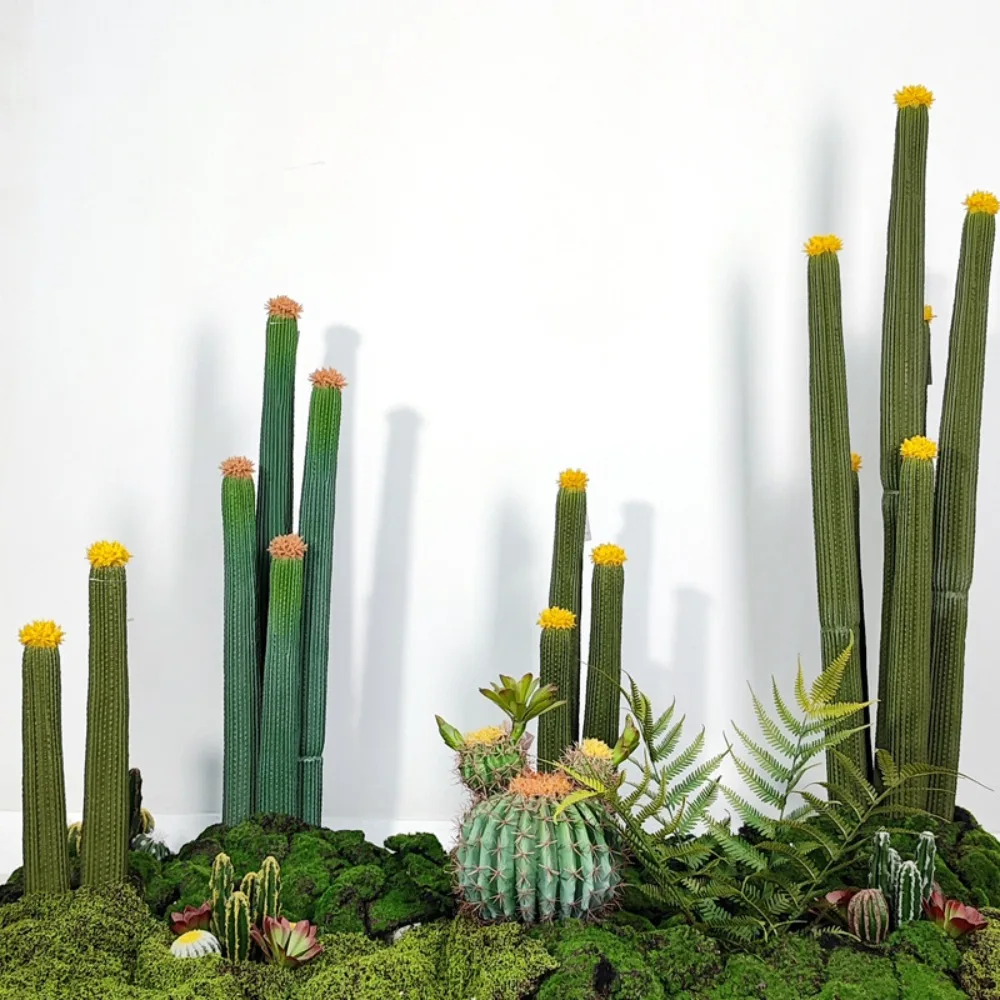 

Wholesale Simulation Desert Plants Fairy Styles Potted Landscape Ornament Bonsai