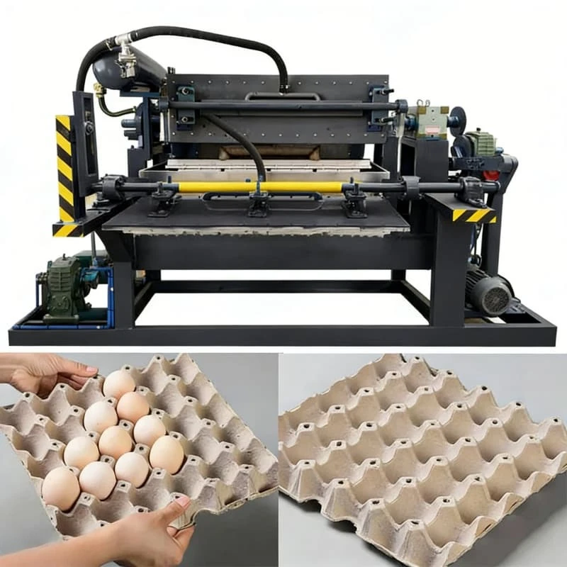 High Efficiency Rotary Egg Tray Making Line Multi Type Paper Tray Production Machine Integrated Pulp Molding Machine Customized