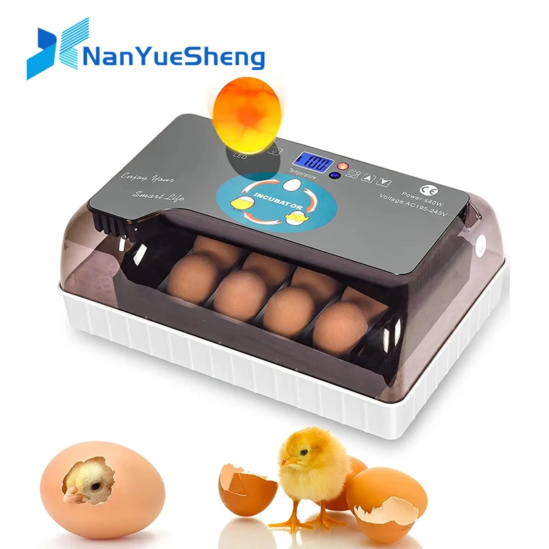 Automatic HHD Best Digital 12 Chick egg Hatchery machine Brooder egg incubator egg incubator Hatcher for goose chicken quail