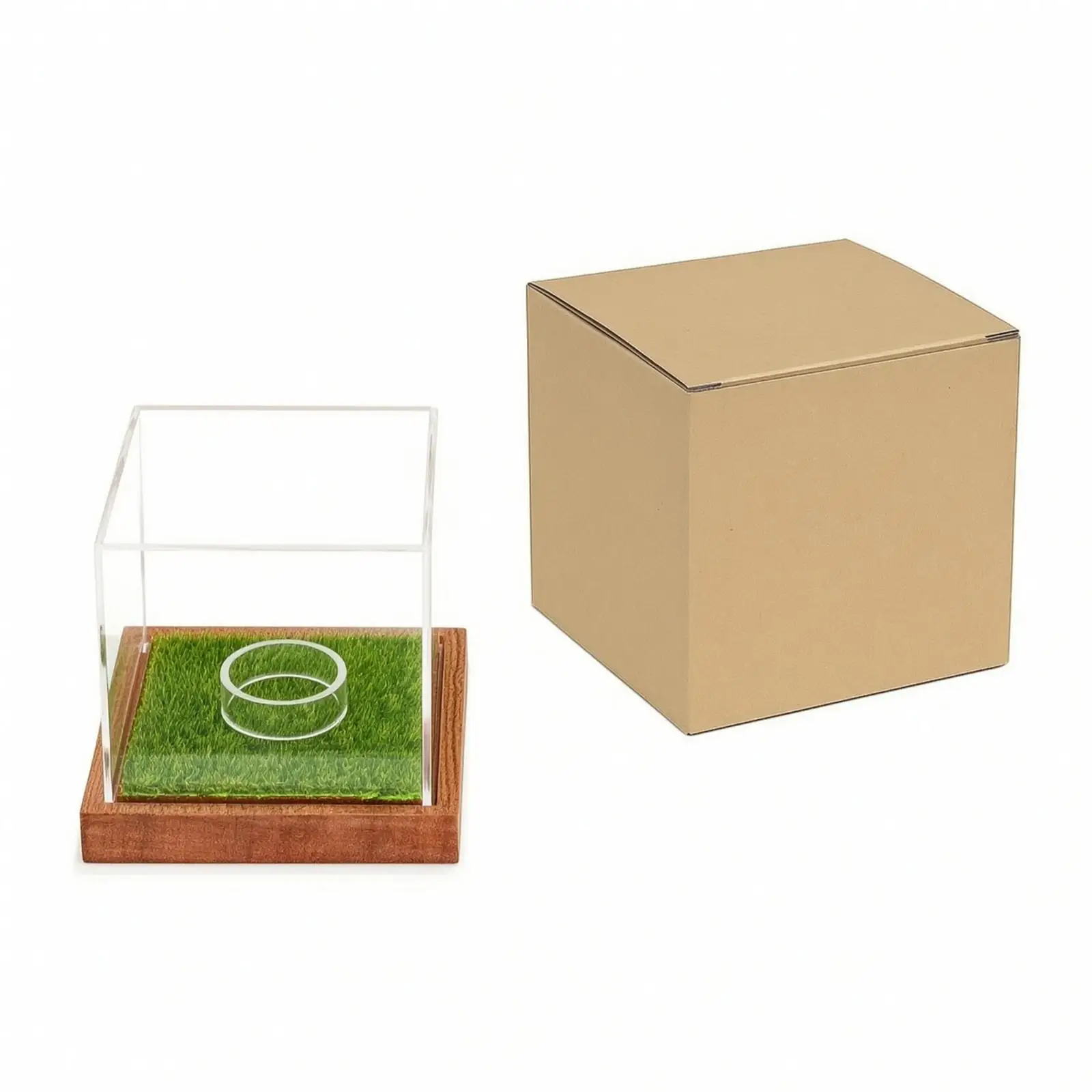 Golf Ball Showcase with Acrylic Cover and Grass Pad for Secure Display on Shelf or Mantelpiece