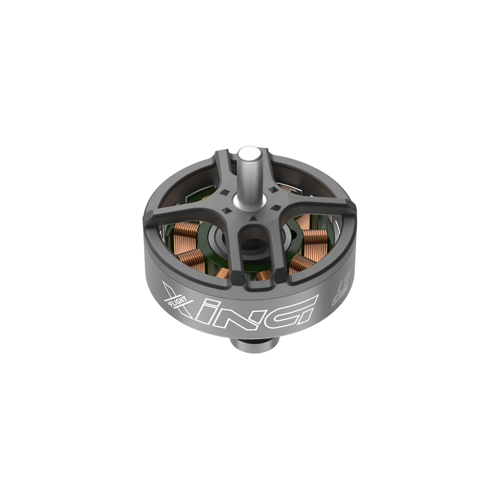 IFlight XING 1002 19000K/ 22000KV Brushless Motor 2.4g Input Volts 4V for FPV Freestyle 75mm Tinywhoop Drone