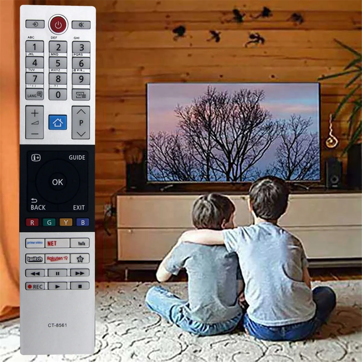 Télécommande de remplacement CT-8561 pour télécommande TV LED intelligente TOWinterBA