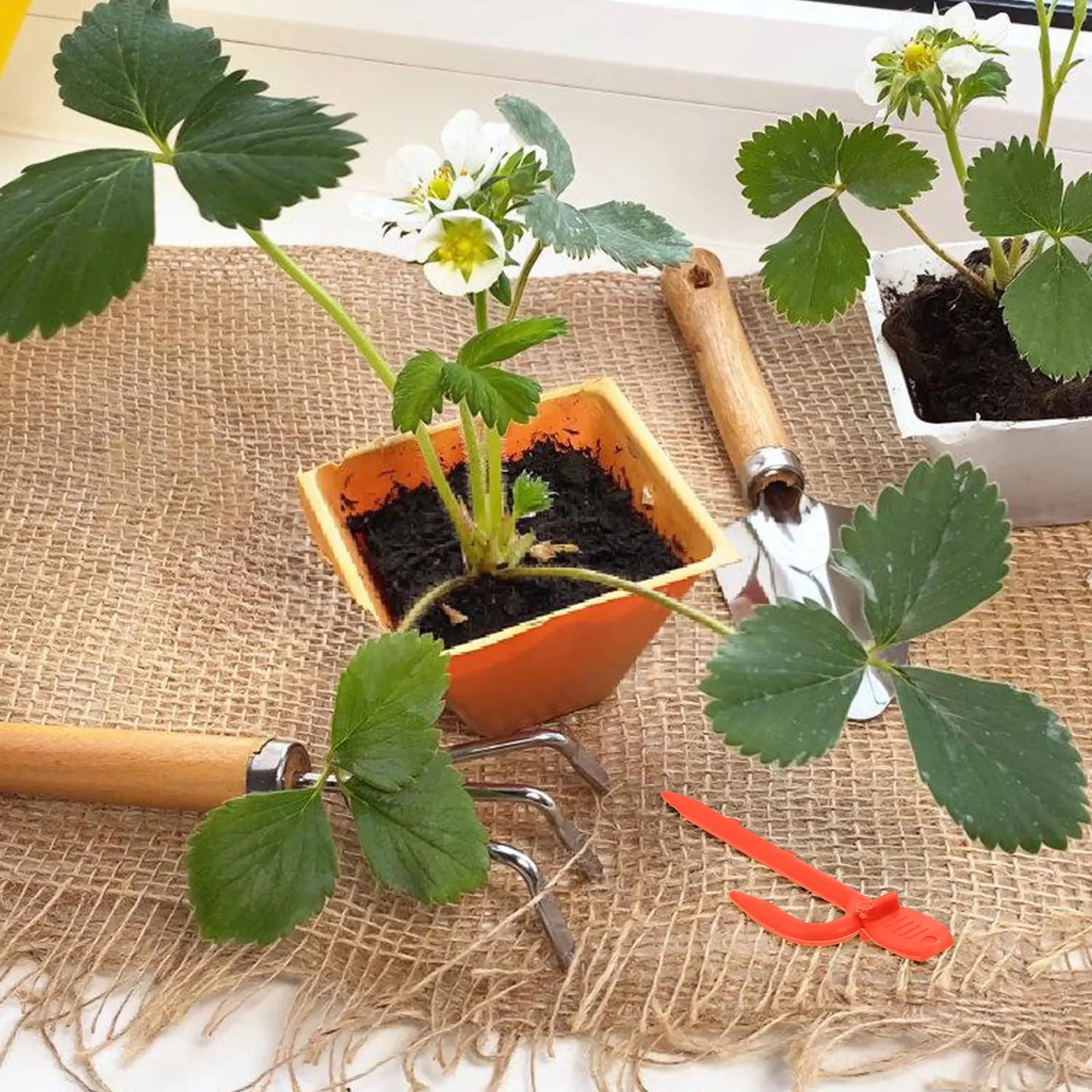 1 Bag Plant Vine Fixing Clips Plastic Reusable Gardening Plant Support Clamps for Strawberry Watermelon Stolon Vines Fertilizer