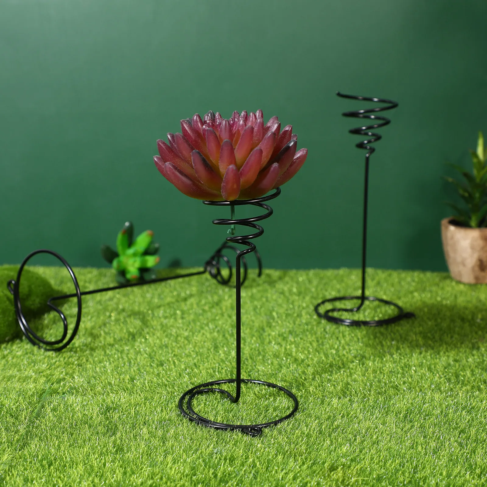 3Pcs Spiral Tillandsia Display Stand Metal Air Plant Holder Desktop Rack Stable Plant Display Tillandsia Holder