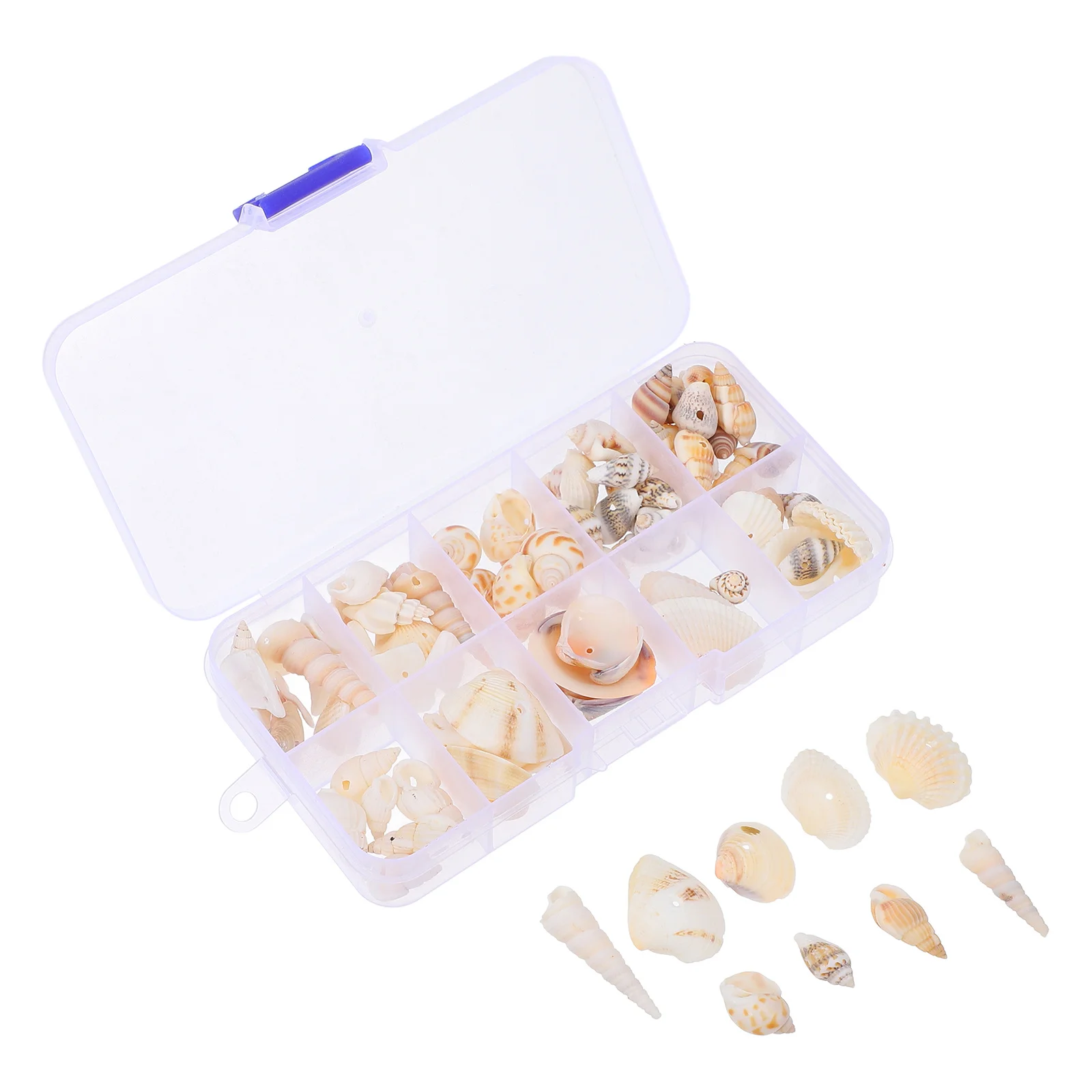 

Box of Small Seashell Accessories Colorful Natural Tiny Ocean Conch Punched Hole DIY Bracelet Necklace Aquarium Landscape Craft