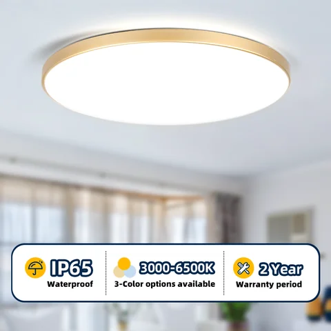 Waterproof Led Bathroom Lamp Ceiling Light Led Ceiling 18W 30W 40W Gold Ceiling Lamp Round For Kitchen Living Room Toilet 220V