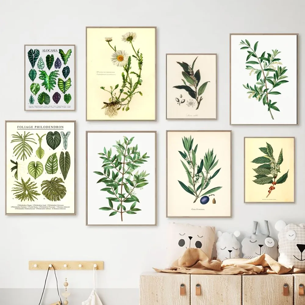 Botanical Illustration Poster Kraft Club Bar Paper Vintage Poster Wall Art Painting Bedroom Study Stickers 