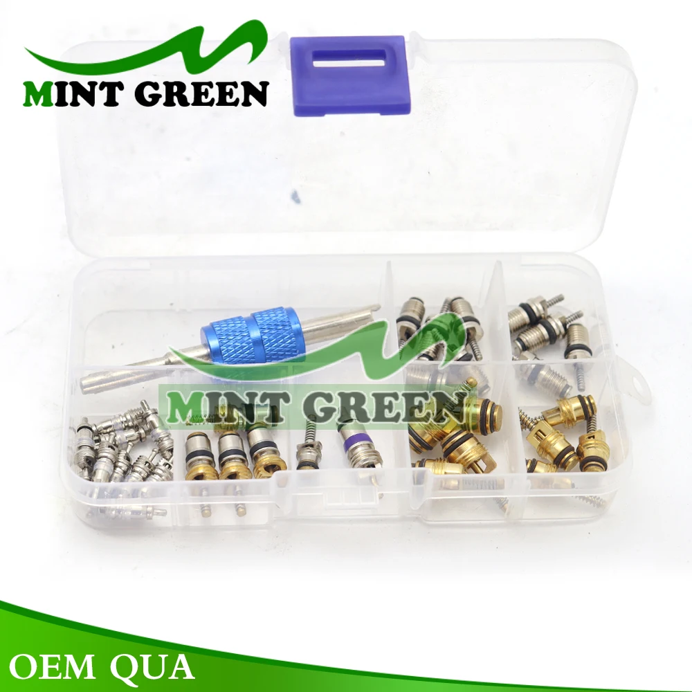 

Инструмент для сердечника клапана переменного тока R134A, комплект клапанов для Buick Citroen Fukang Hyundai Kia, китайские японские корейские автомобили