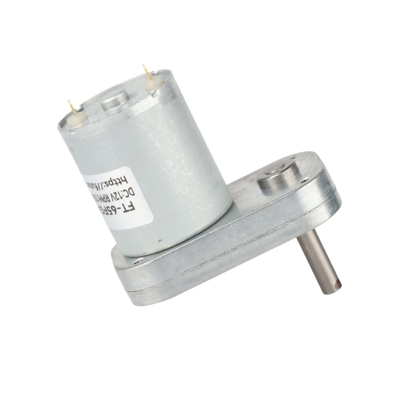 Faradyi High-Efficiency  12v 24v High Torque Permanent Magnet Micro Small Dc Worm Gear Motor for Smart Home Appliances