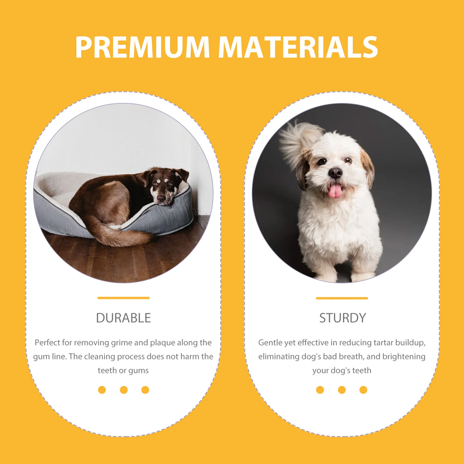 10 Pcs Small Dog Toothbrush and Pet Gloves Toothpaste Dogs Finger Cot Polyester Puppy for