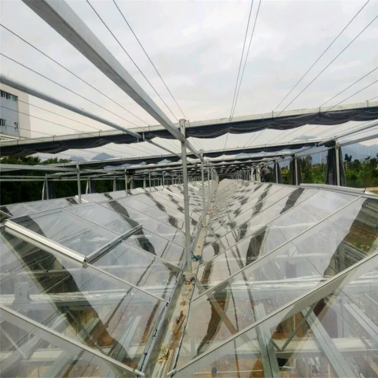 

Customized greenhouseComplete Glass Agricultural Green House Hydroponic System All Season Vegetable Planting Glass Greenhouse