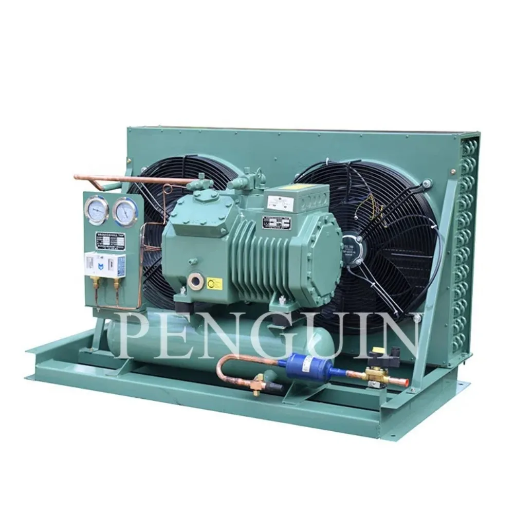 

50HZ 60HZ 220V 380V 440V 480V R404A R22 5HP Compressor Condensing Unit for Cold Room Refrigeration Unit