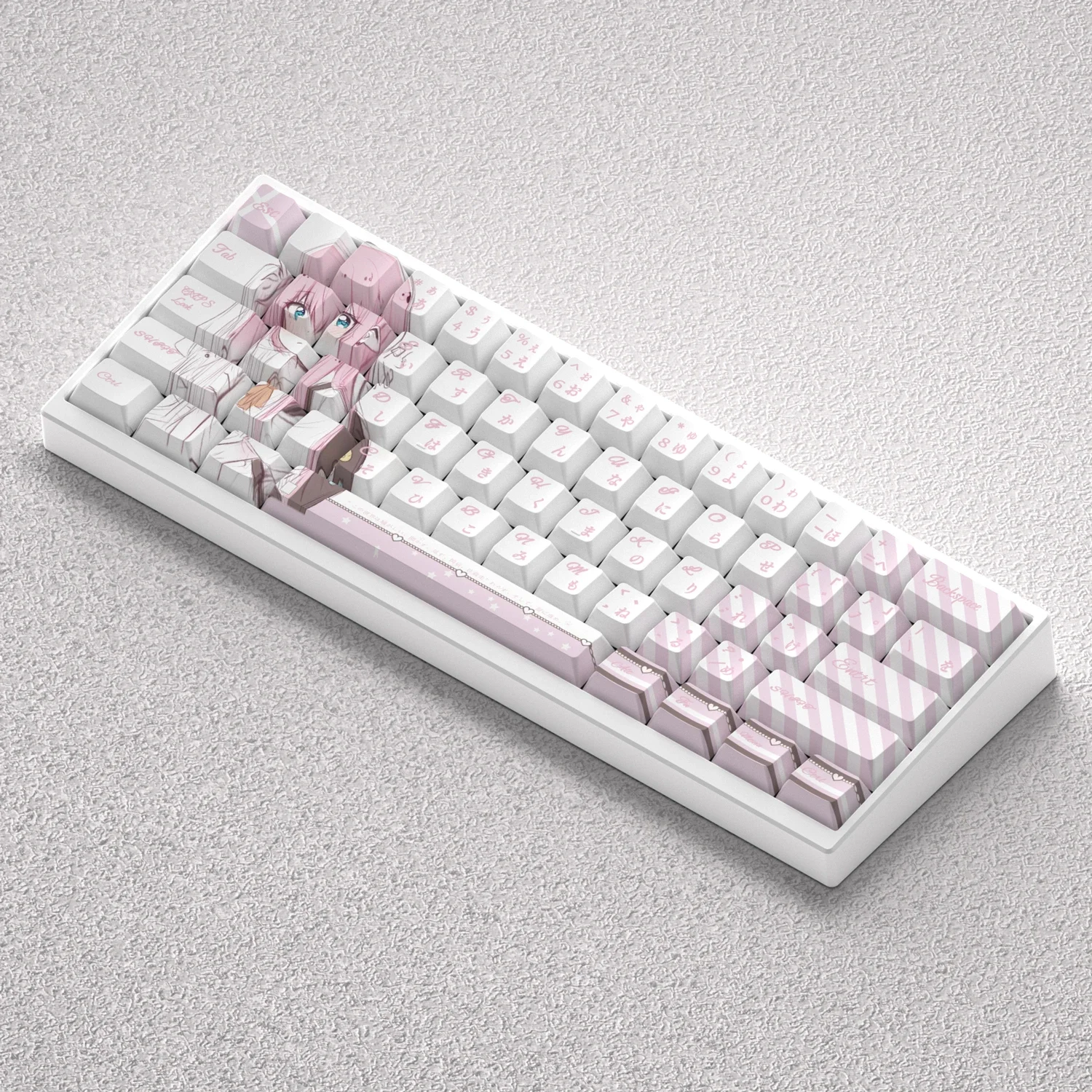 73 Keys Bocchi Chan…