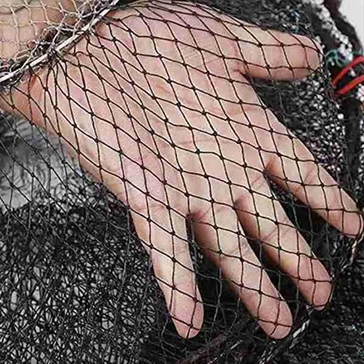 ABYB Telescopic Fishing Net 80x40CM Portable Folded Cast Net Trap Pot for Catching Live Bait, Prawn, Crawfish