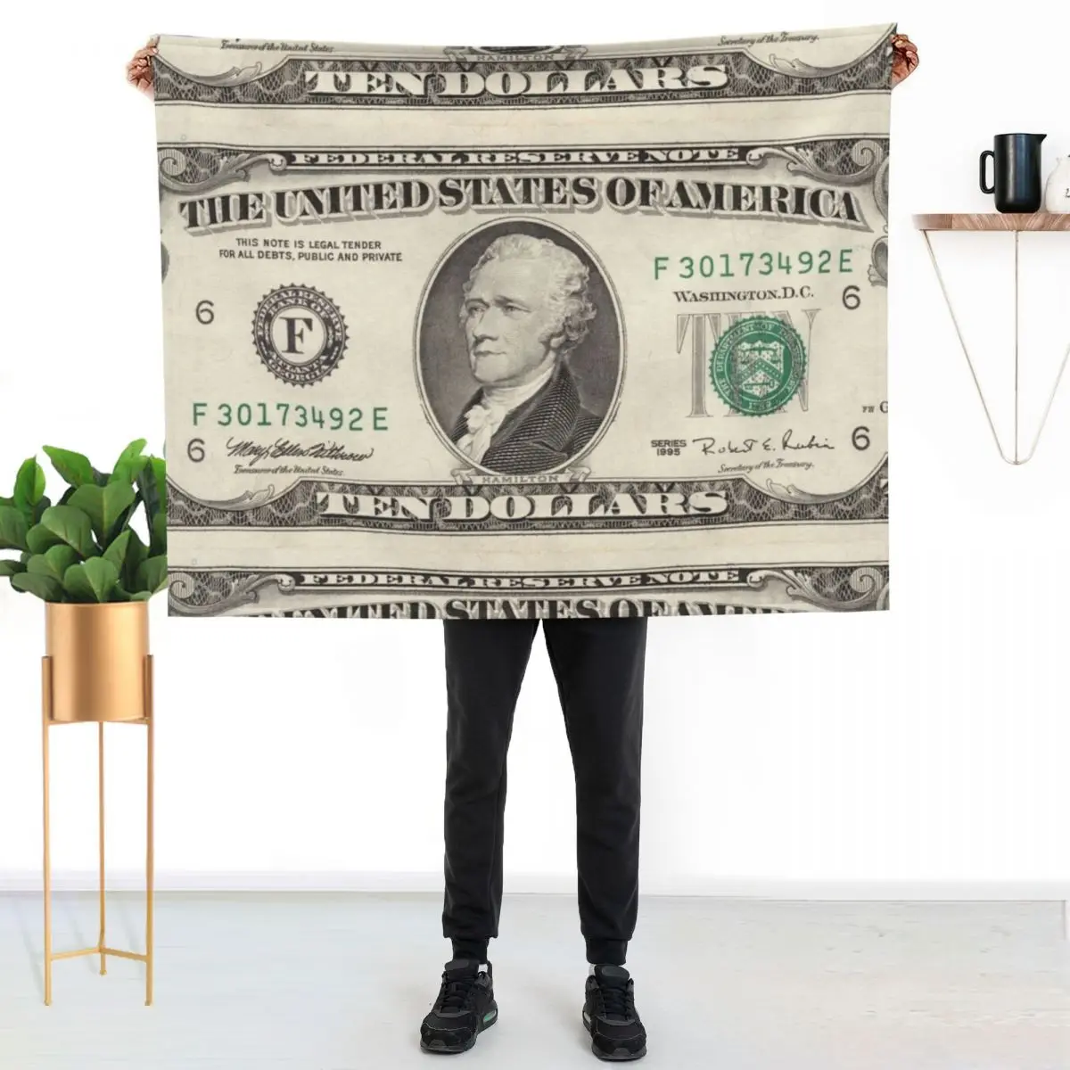 

United States ten-dollar bill - Alexander Hamilton Throw Blanket All Season Soft Lightweight Blanket for Home