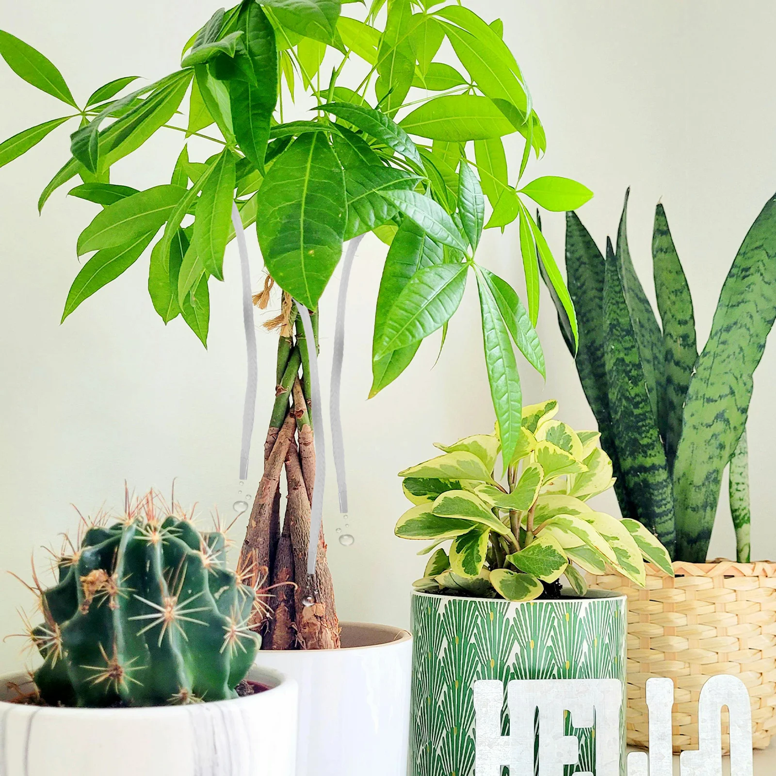 

Self Watering Automatic Cotton Rope Absorbent Wick Cord DIY Plant Watering Device Indoor Planter Vacation Kit for Potted Plants