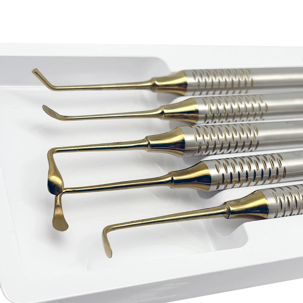 5Pcs Dental Implant Sinus Lift Lifting Elevator Instrument Tool Stainless Steel Double Ends Set