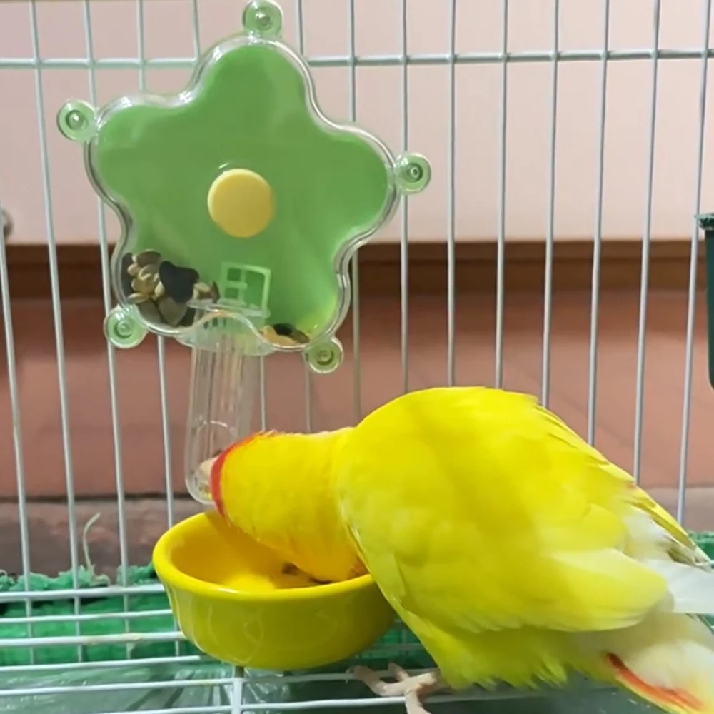 Thumbnail 4 - #1 Compare Hanging Bird Chew Toys Before You Buy