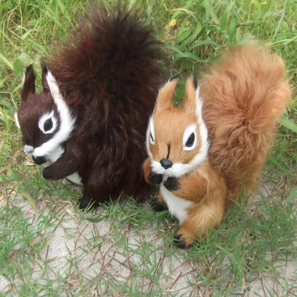 Realistic Animal Statue Squirrel Figurine for Kids Science Nature Teaching Tool Interactive Toy and Home Decor Collectible