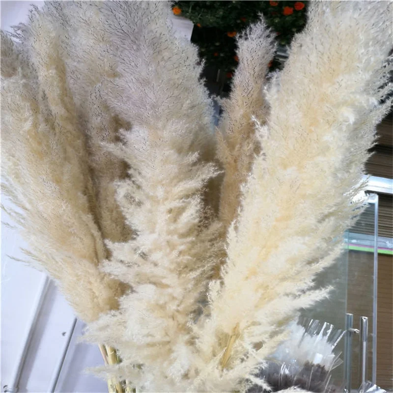 110-120cm Large Fluffy Pampas Grass Decor Dried Flower Bouquet,Vintage Wedding Ceremony Flowers Arrangement,Home,Christmas Decor