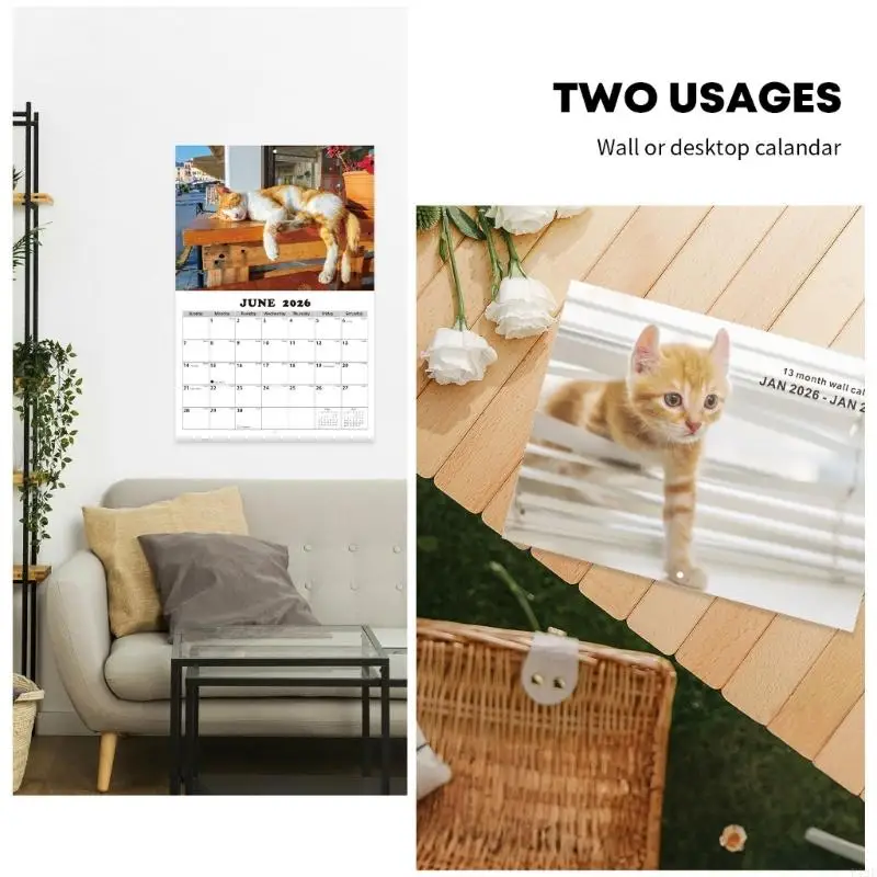 Artistieke Feline Wandkalender 2026 Dik Gerecycled Papier Duidelijke Nummering Praktische Ophanghaak Perfect Voor F19E