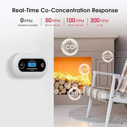 Carbon Monoxide Alarm with 10-Year CO Sensor,  CO Gas Detector with 10-Year Life Battery, CE EN 50291, VC21, Black