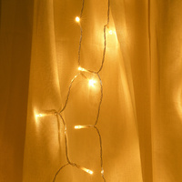 1Pcs USB Powered LED Decorative String Lights 5m 50-LED Colored Lights for Home Garden Wedding Festival Christmas Party