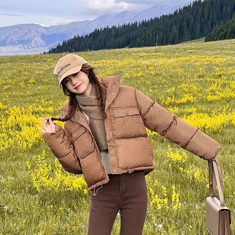 2023 Autumn Winter Women Warm Thick Vintage Down Jacket Lapel Baggy Long Sleeve Female Cotton Padded Coat Harajuku Top