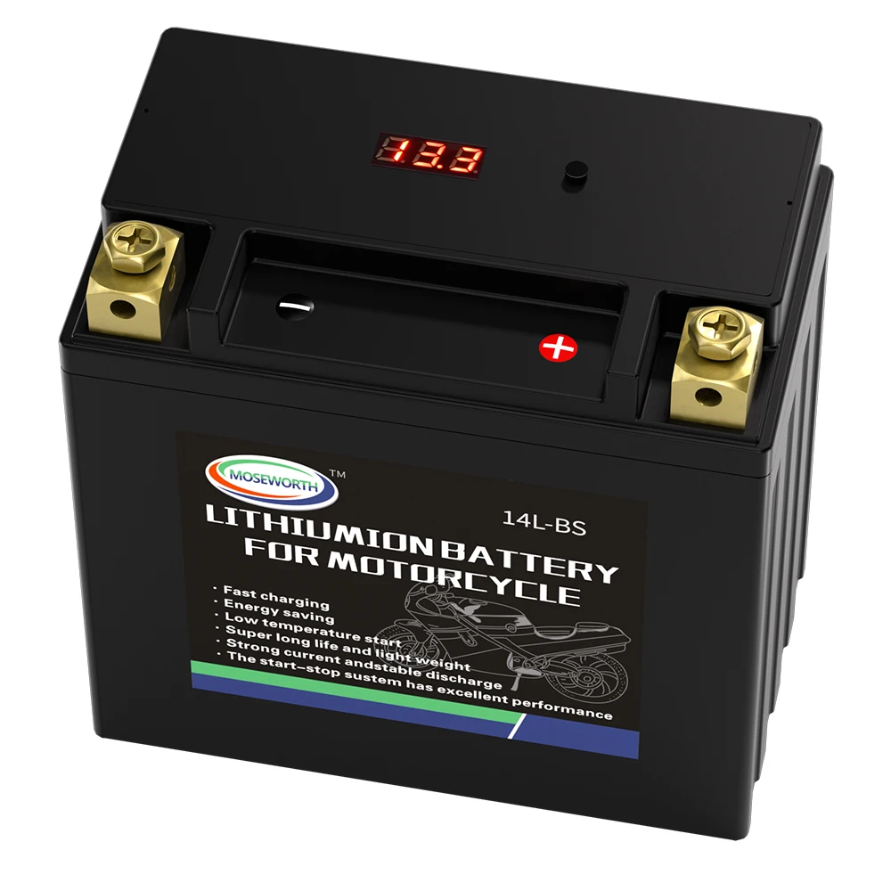 14L-BS 12V 9Ah Motorcycle Battery LiFePO4 Maintenance Free CCA520 Built in BMS Replacement Battery for ATV Motorbike Snowmobile