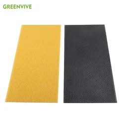 10PCS Beeswax Coated Plastic Foundation Sheet Bees Comb Honey Square Frame Beehive Frames Base Sheets Beekeeping Equipment