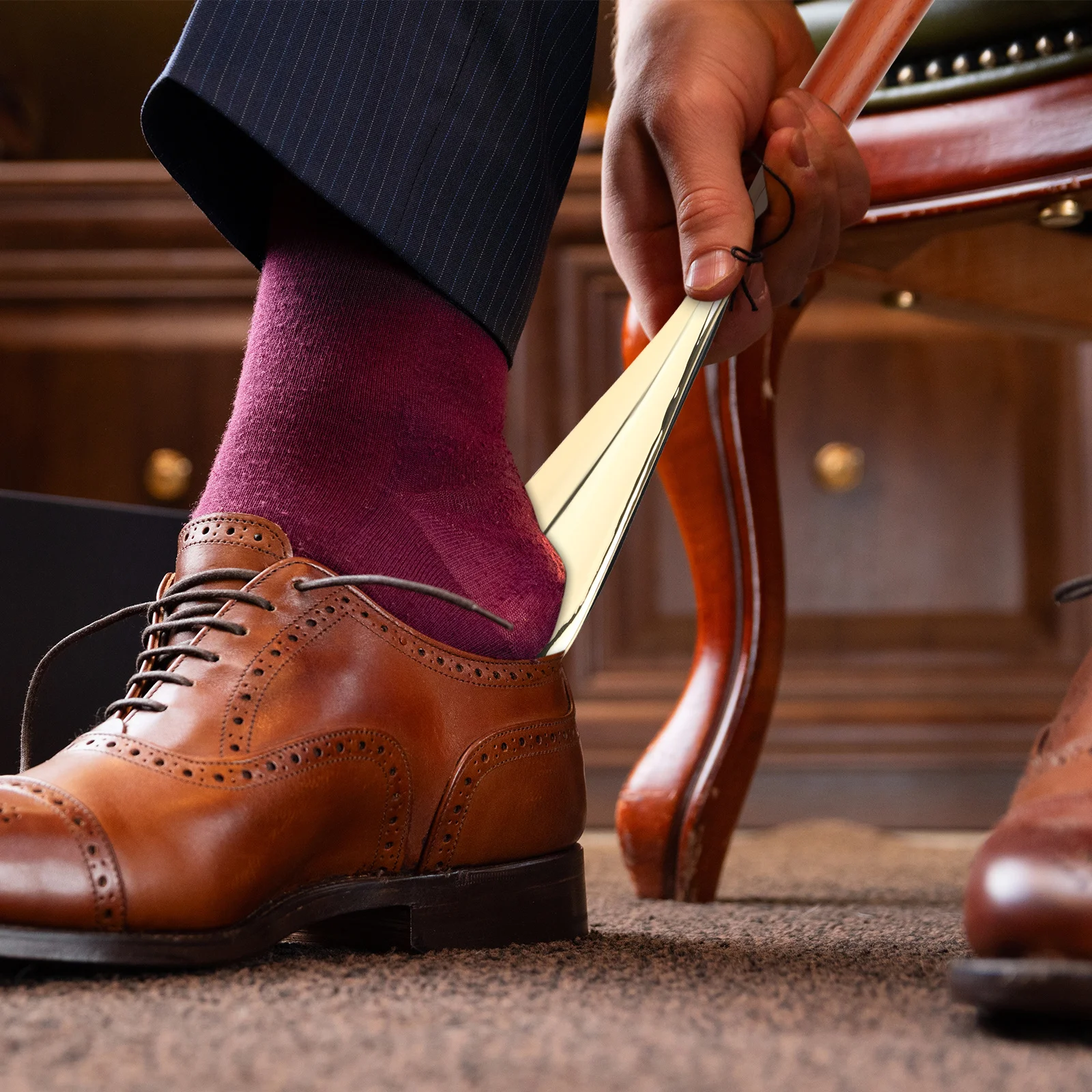 

Long Handle Shoe Horn Zinc Alloy Animal Decor Metal Shoehorn For Seniors Adults Home Use Premium Gift Idea