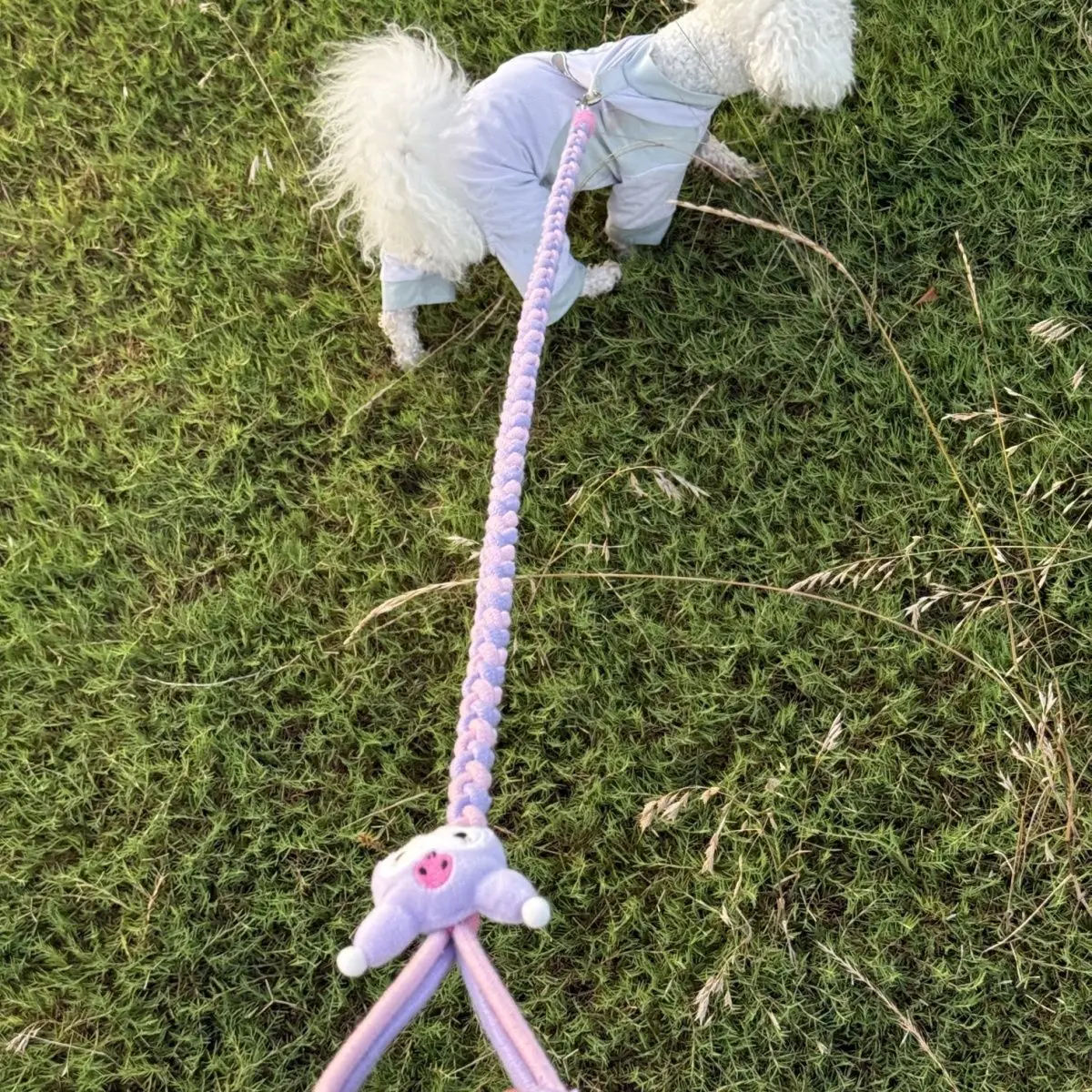 

Dog pet hand-woven small and medium-sized dog leash leash leash suitable for 5-10 kg explosion-proof